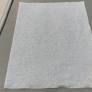 Machine Scrubbing Carpets FLEX PE14 303 Mike Phillips
