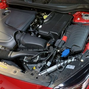 Review DP Graphene Wash