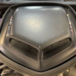 Remove water spots Matte Shaker Hood Scoop 2016 Challenger Scatpack 392 Hem