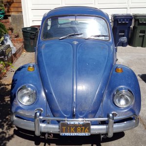1967 VW Bug - Bringing the DEAD back to LIFE - Original Paint!