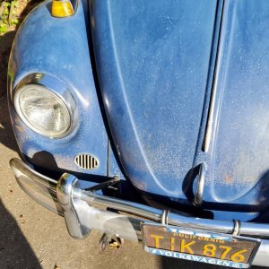 1967 VW Bug - Bringing the DEAD back to LIFE - Original Paint!
