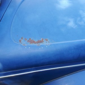 1967 VW Bug - Bringing the DEAD back to LIFE - Original Paint!