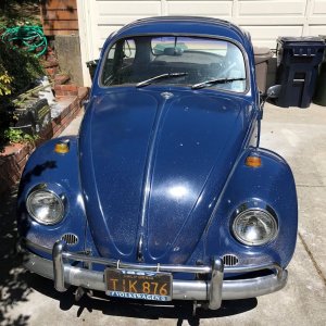 1967 VW Bug - Bringing the DEAD back to LIFE - Original Paint!
