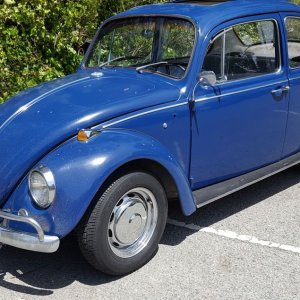 1967 VW Bug - Bringing the DEAD back to LIFE - Original Paint!