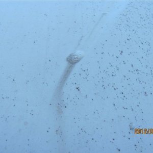 Remove Concrete Backset Romix Ro-mix Mike Phillips Autogeek