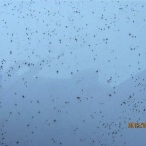 Remove Concrete Backset Romix Ro-mix Mike Phillips Autogeek
