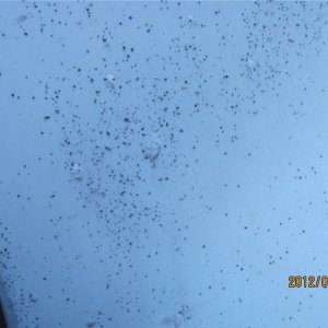 Remove Concrete Backset Romix Ro-mix Mike Phillips Autogeek