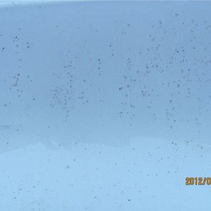Remove Concrete Backset Romix Ro-mix Mike Phillips Autogeek