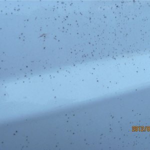 Remove Concrete Backset Romix Ro-mix Mike Phillips Autogeek