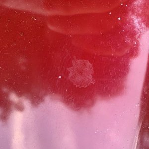 Volvo Thin Single Stage Paint Steve Berry Hemmings Motor News Blog