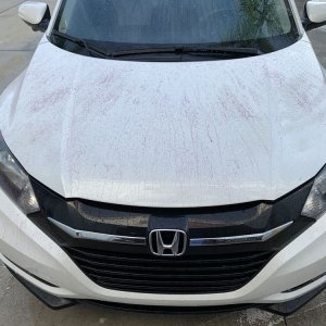 SONAX Fallout Remover - Car Washing Clean Car