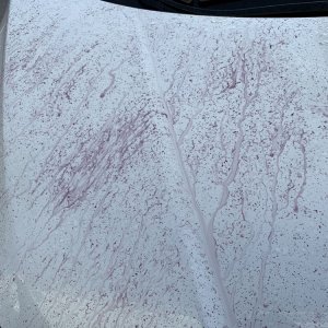 SONAX Fallout Remover - Car Washing Clean Car
