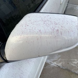 SONAX Fallout Remover - Car Washing Clean Car