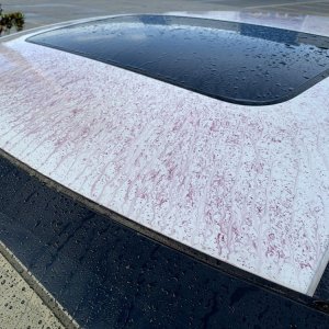 SONAX Fallout Remover - Car Washing Clean Car