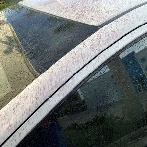 SONAX Fallout Remover - Car Washing Clean Car
