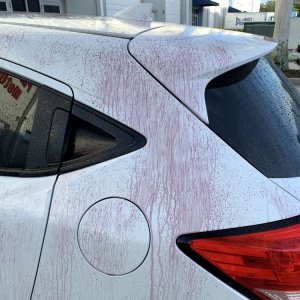 SONAX Fallout Remover - Car Washing Clean Car