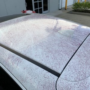 SONAX Fallout Remover - Car Washing Clean Car