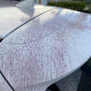 SONAX Fallout Remover - Car Washing Clean Car
