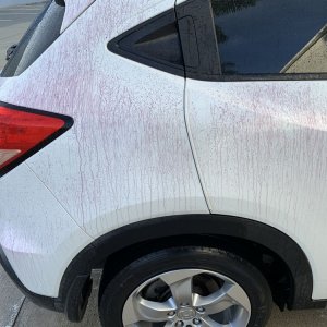 SONAX Fallout Remover - Car Washing Clean Car