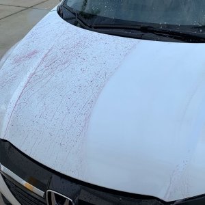 SONAX Fallout Remover - Car Washing Clean Car