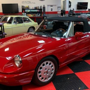 DP Quick Coat  - 1994 Alfa Romeo Spider
