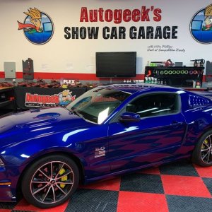 PBL Ceramic Trim Restorer 2013 Mustang