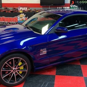 Most hacked-up Mustang I