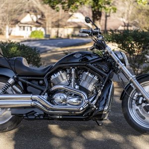 HD V-Rod