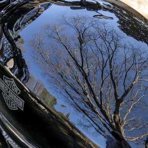 HD V-Rod Reflections