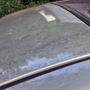 7-12-2022_2004_Mazda_6S_Roof_Dirt
