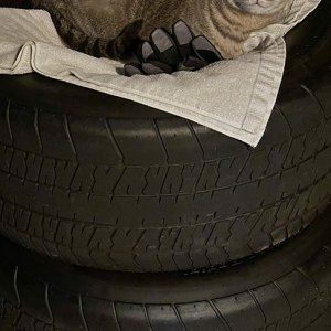 2023-02-08_Drag_Radial_Bandit