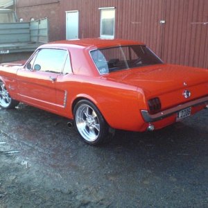 Bronco-Stang