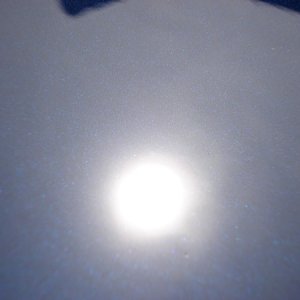 SSR_trials_19_