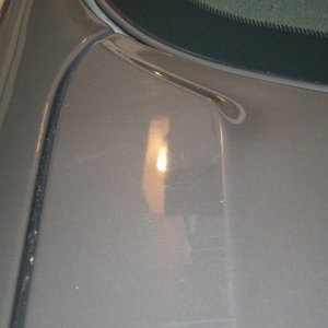 8_Defects_on_trunk_before