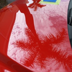 Joe the Detailer