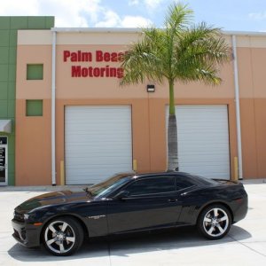 How to pick a polisher