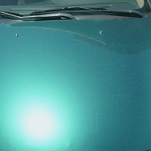 Taurus Hood 2