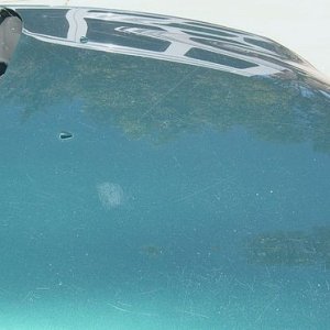 Taurus Hood 3