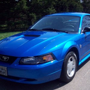 35th Anniversary Mustang