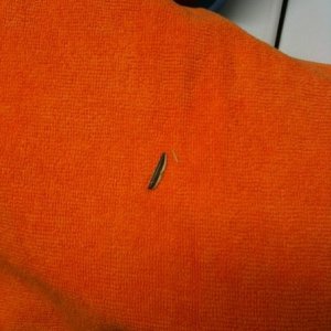 Cheap microfibers