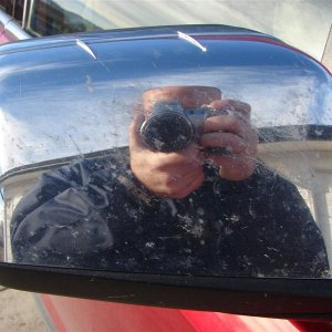 Bugs_Mirror