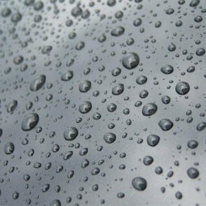 colinites beading