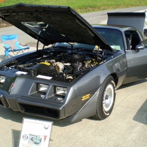 P5200203