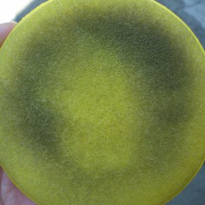 P6050237