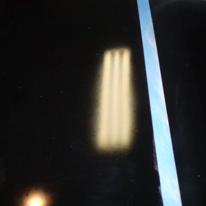 Shinystang Dampsanding