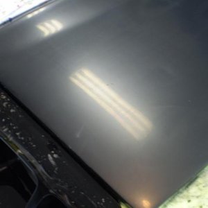 Shinystang Dampsanding
