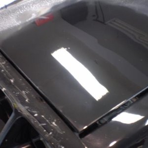 Shinystang Dampsanding