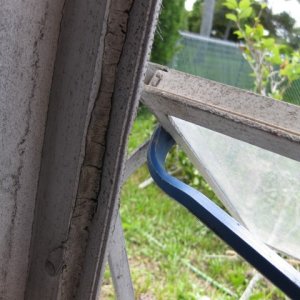 IMG_1417