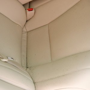 Before_back_seat