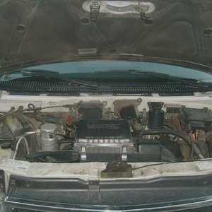 Safari Engine Before 1